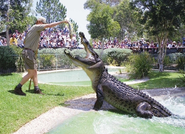 Central Coast Wildlife - The Entrance Tourism Accommodation Business