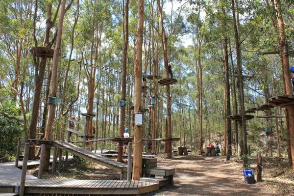TreeTop Adventure Park