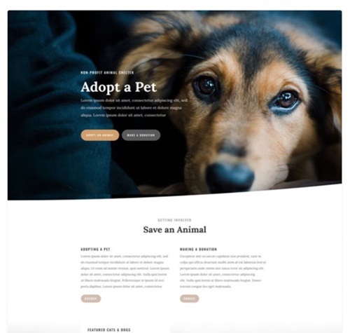 Central Coast Website Design
