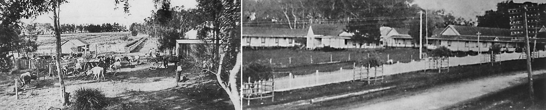 The Entrance History