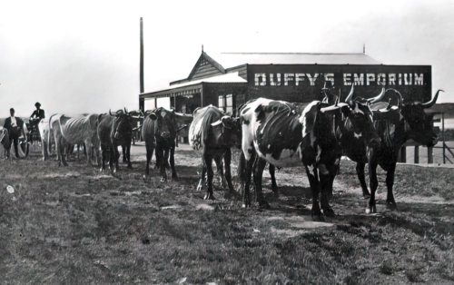 1910 Duffys Emporium-min