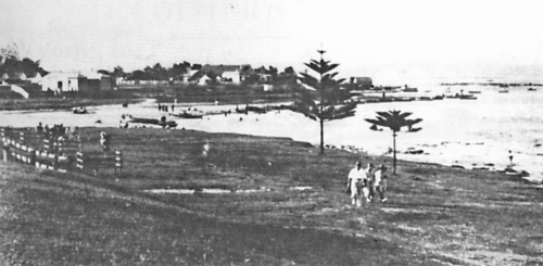 1923 Pine Trees On The Entrance Channel-min