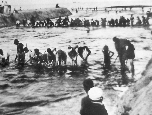 1939 Net Fishing As Tide Goes Out-min