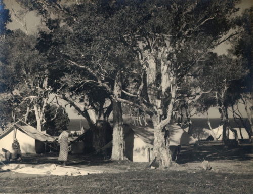 Camps at Tuggerah-very_compressed-scale-1_00x-gigapixel-min