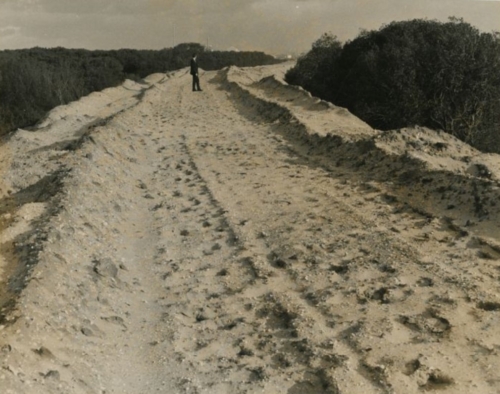 Wilfred Barrett Drive Construction Circa 1964 3j-min